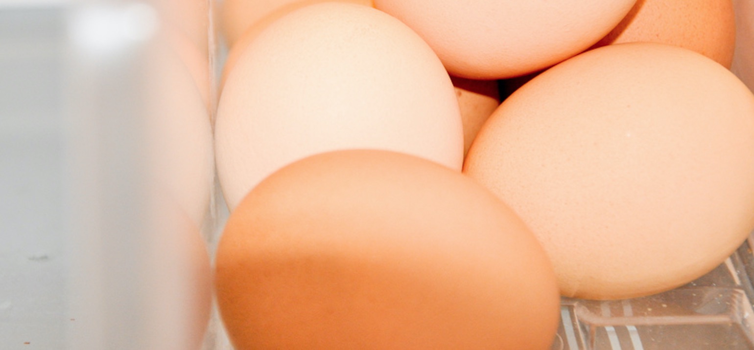 Précisions suite à la crise des œufs contaminés au Fipronil
