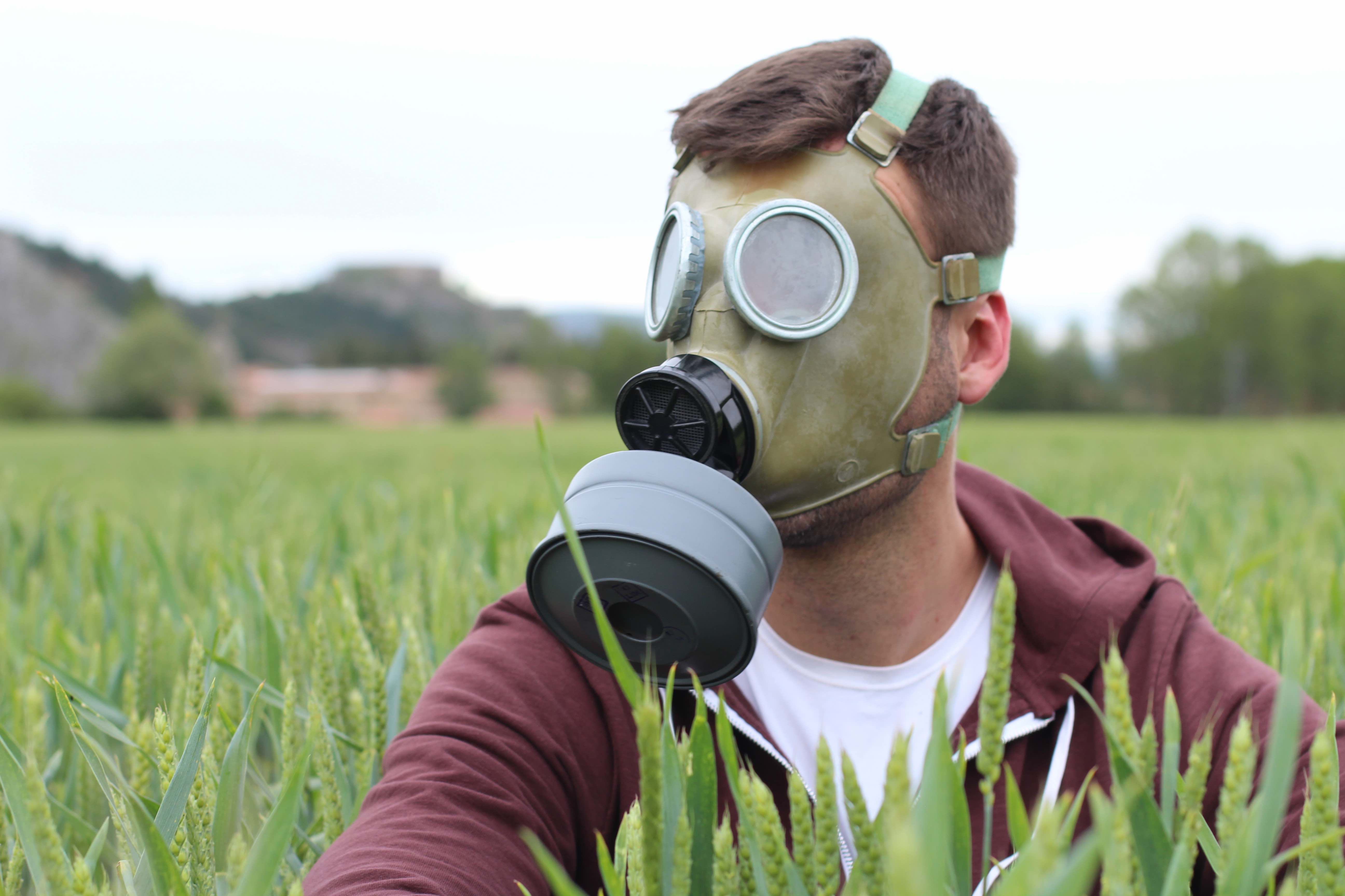 Consultation pesticides gouvernement