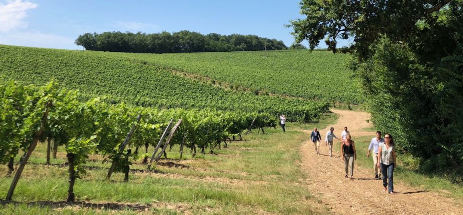 L'objectif de ces vignerons ? zéro engrais chimiques ! 