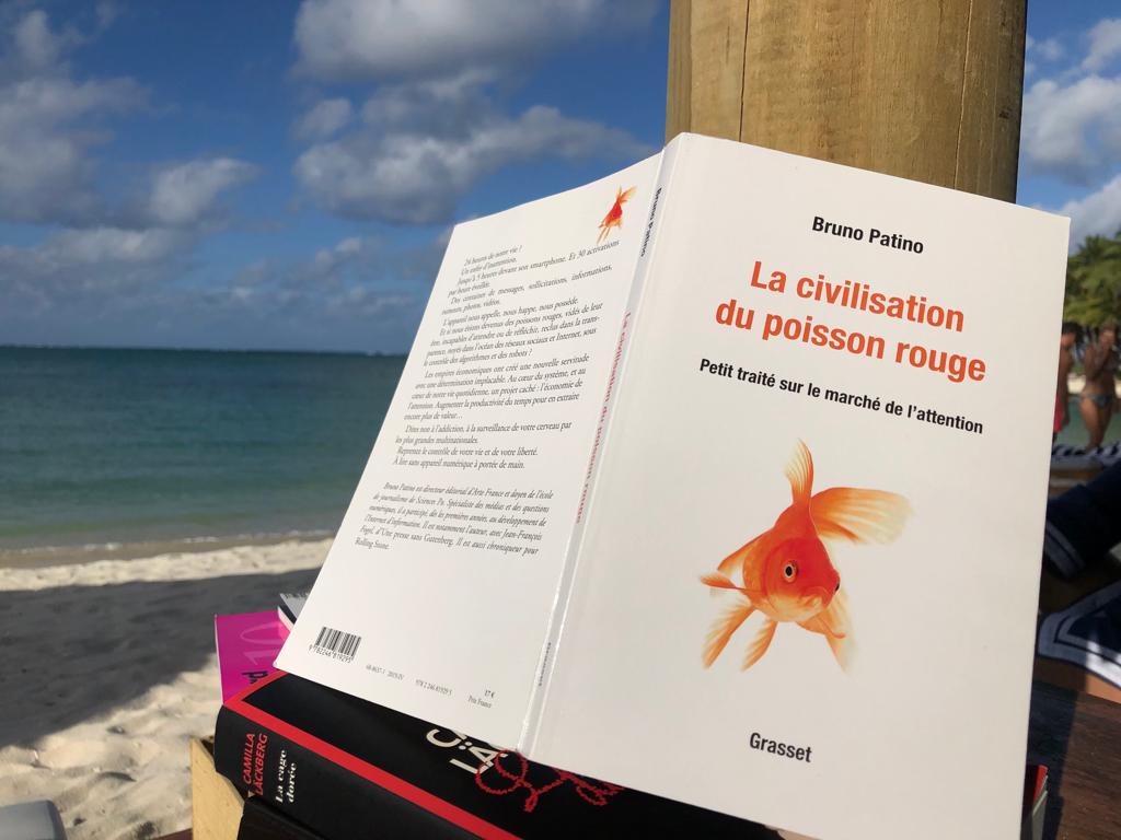 Comment sortir de notre bulle numérique ? Bruno Patino Livre