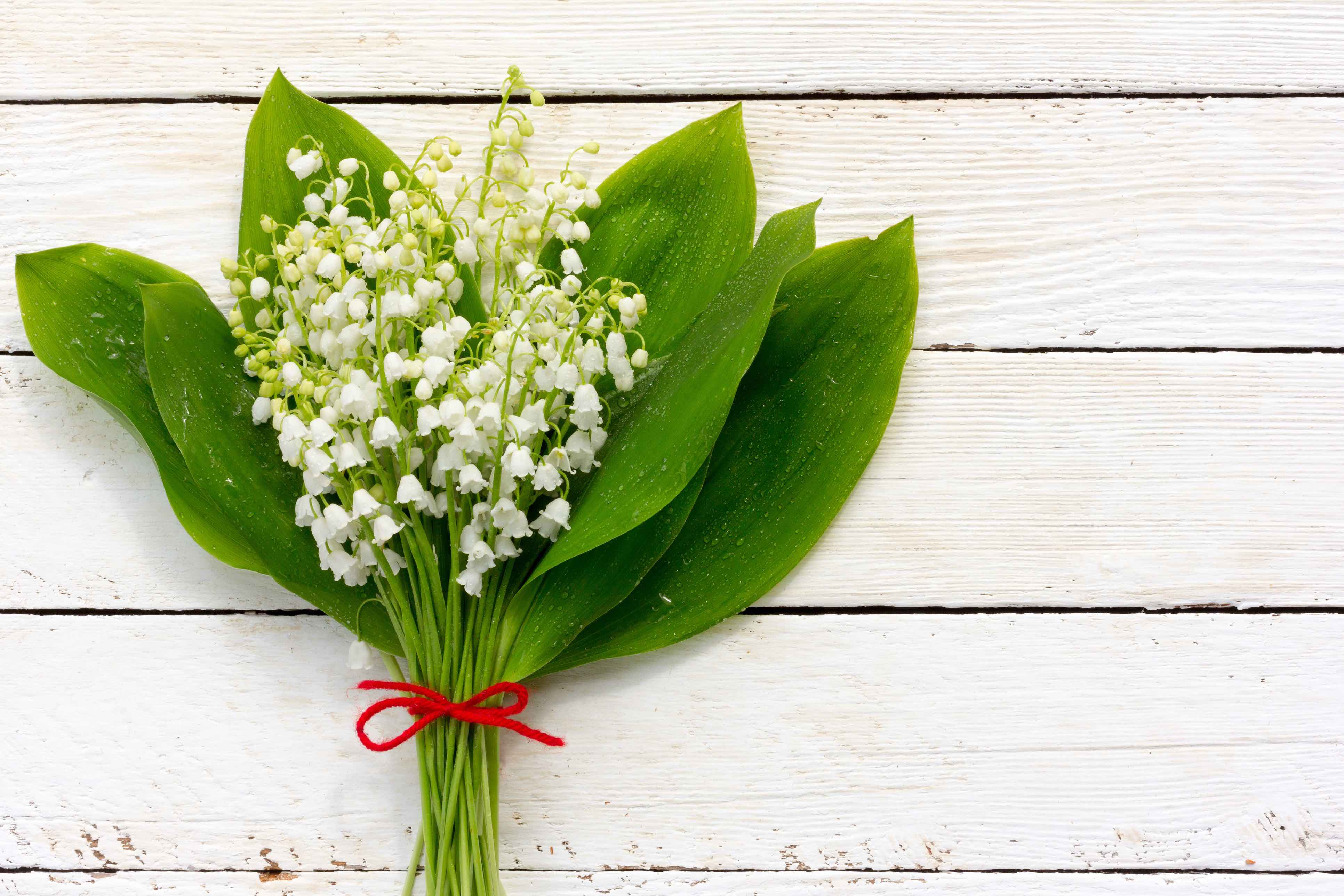 1er mai 2020 muguet