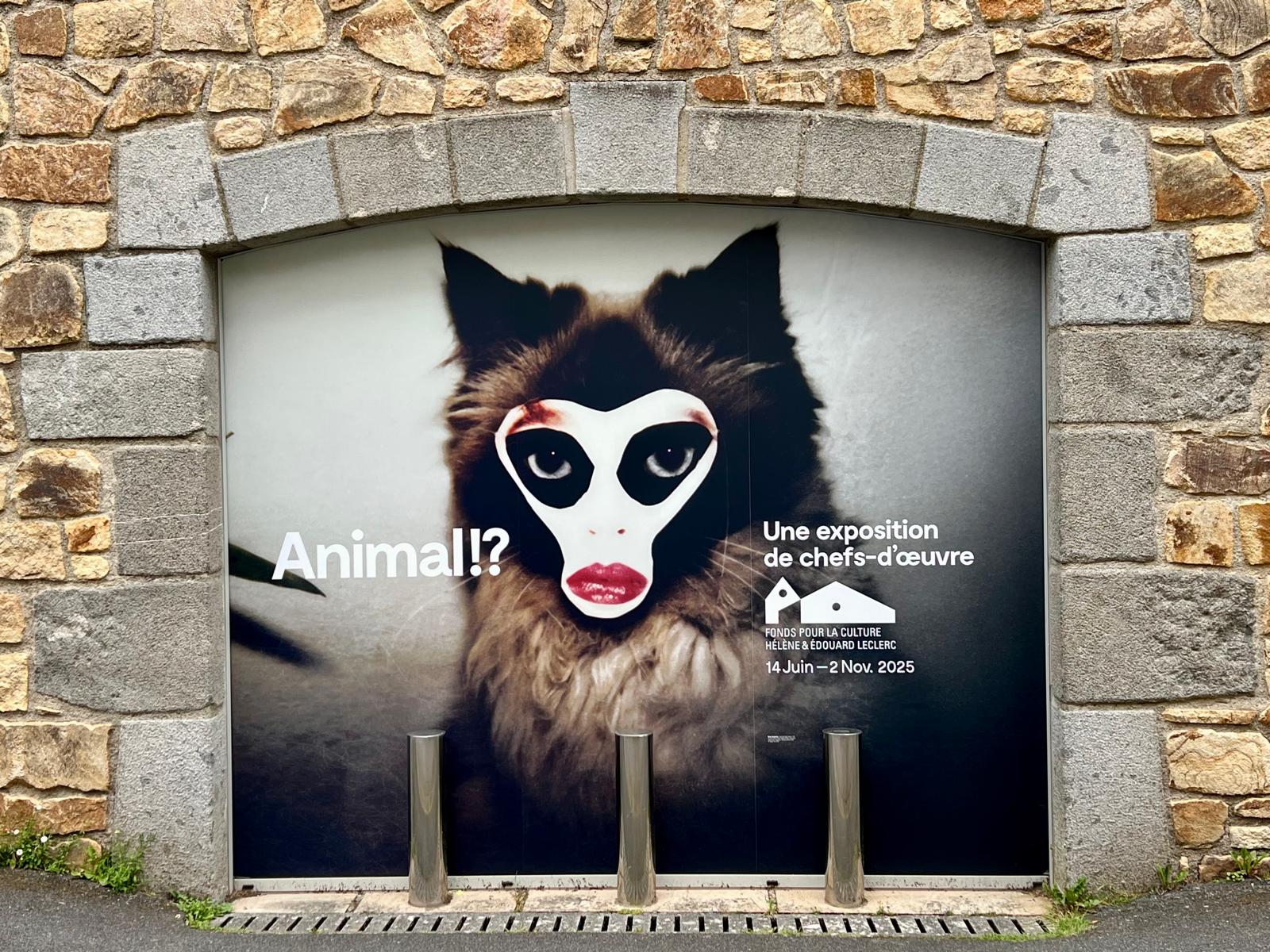 "Animal !?" : l'exposition à ne pas rater cet été en Bretagne, à Landerneau ! "Animal !?" : l'exposition à ne pas rater cet été en Bretagne, à Landerneau !