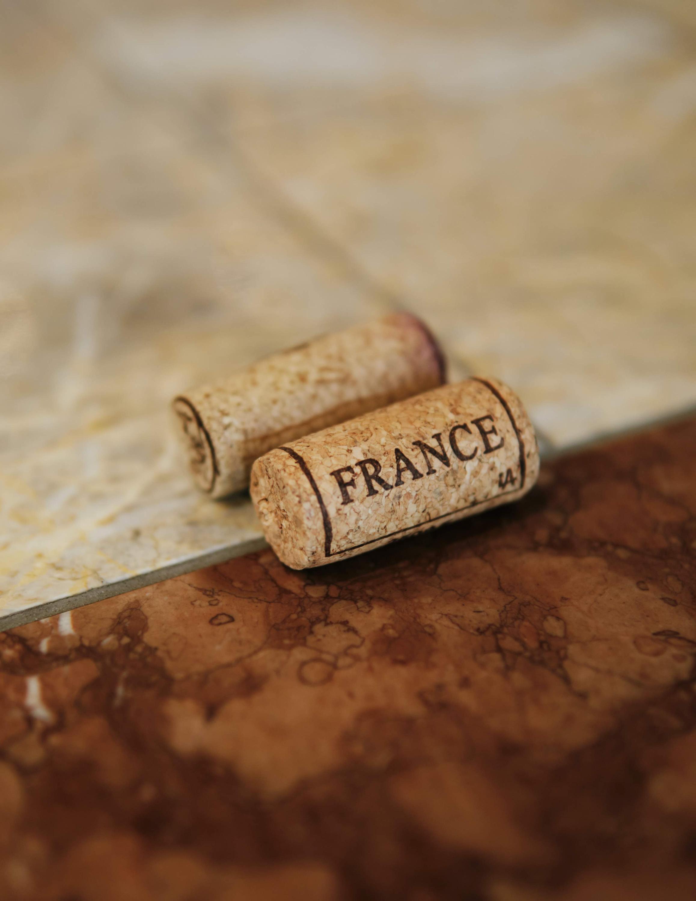 Foire aux Vins 2026 : le goût de l’accessibilité !