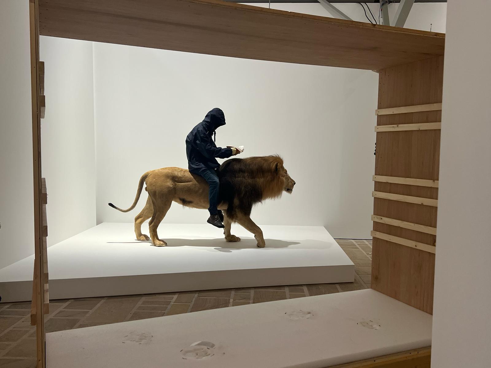 "Animal !?" : l'exposition à ne pas rater cet été en Bretagne, à Landerneau ! 