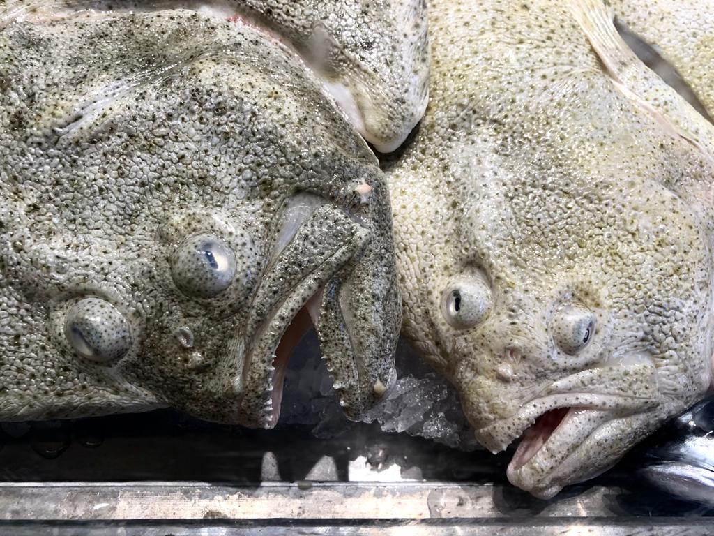 Marché aux poissons Bergen Norvège