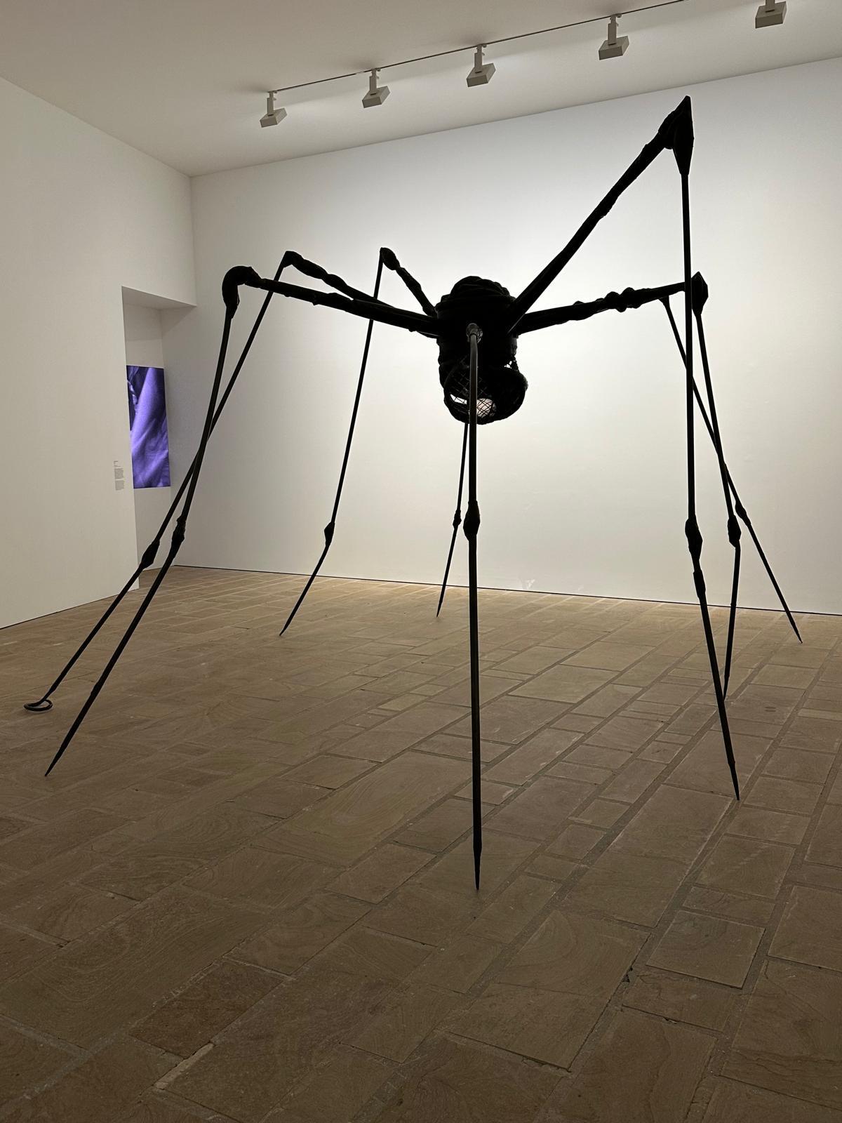 L'expo "Animal!?" débarque au Fonds Hélène et Édouard Leclerc à Landerneau (29) ! 