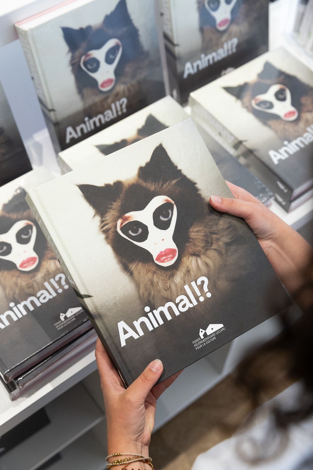 Dernier jour pour découvrir l'exposition "Animal!?" au Fonds Leclerc de Landerneau !