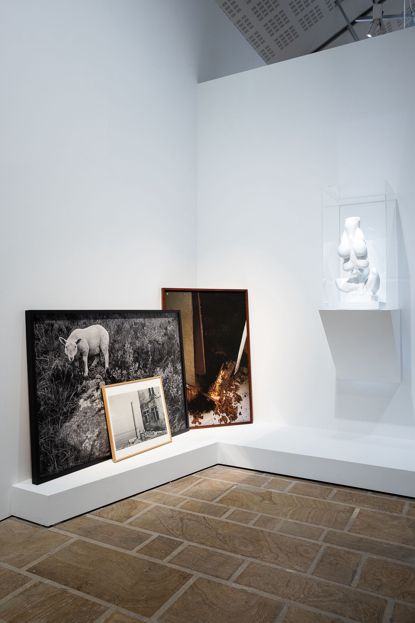 Dernier jour pour découvrir l'exposition "Animal!?" au Fonds Leclerc de Landerneau !