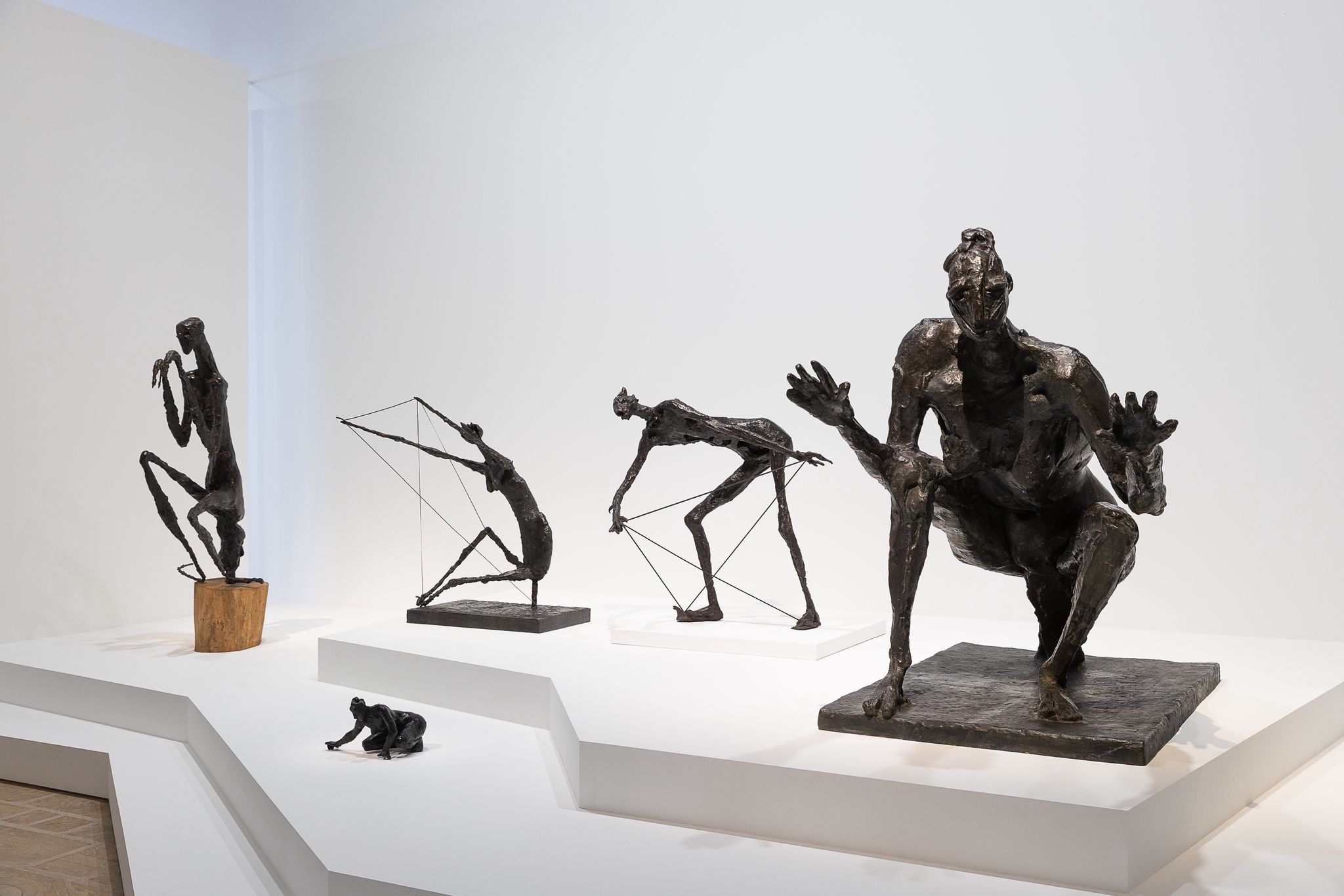 Dernier jour pour découvrir l'exposition "Animal!?" au Fonds Leclerc de Landerneau !