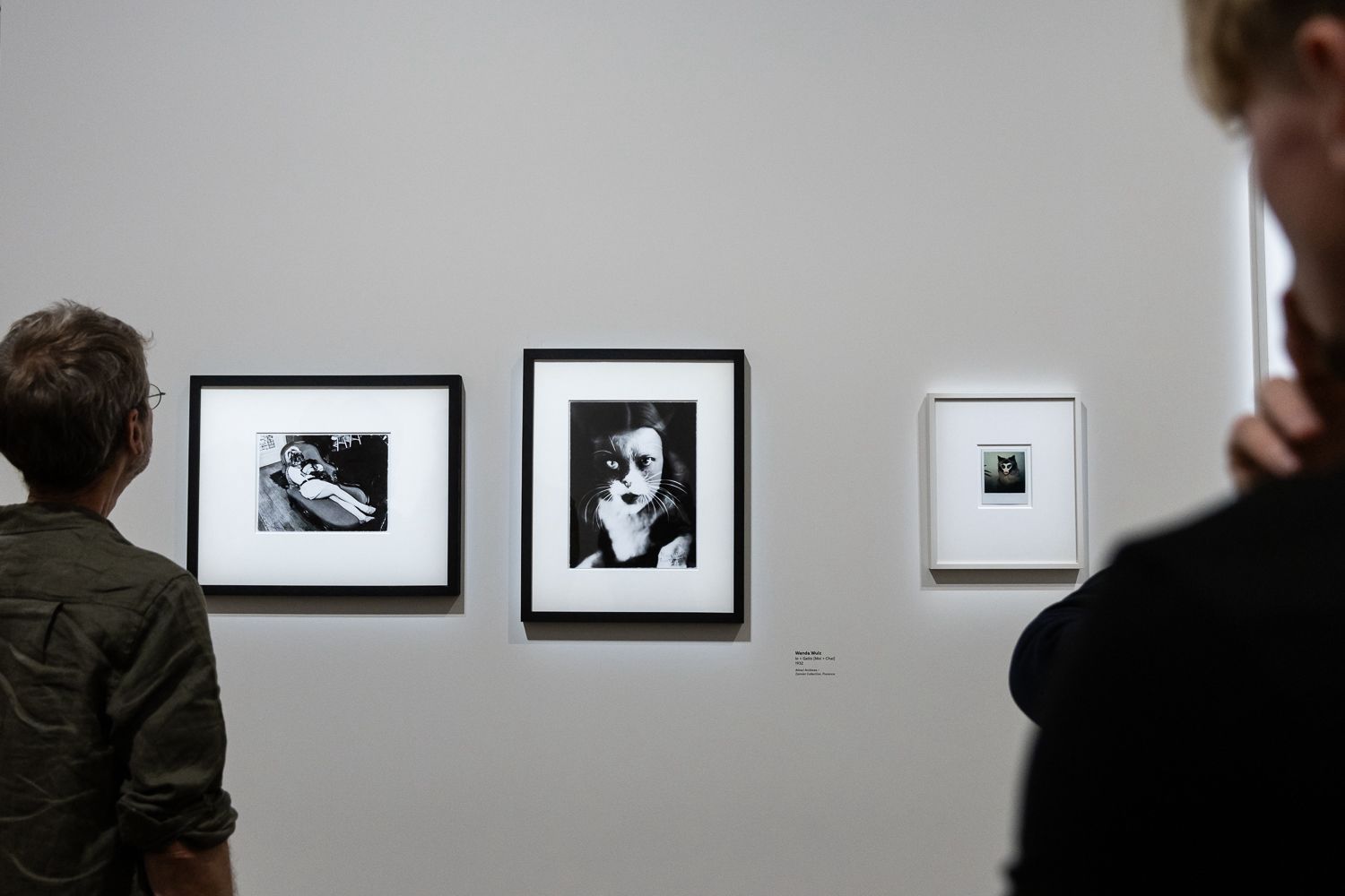 Dernier jour pour découvrir l'exposition "Animal!?" au Fonds Leclerc de Landerneau !