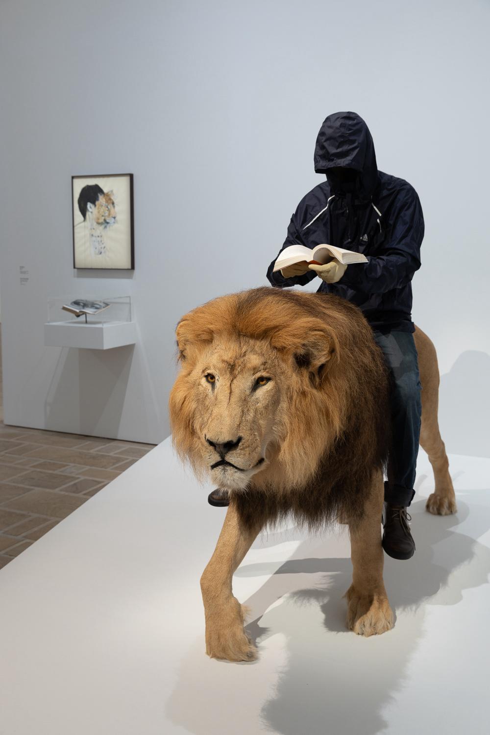 Dernier jour pour découvrir l'exposition "Animal!?" au Fonds Leclerc de Landerneau !