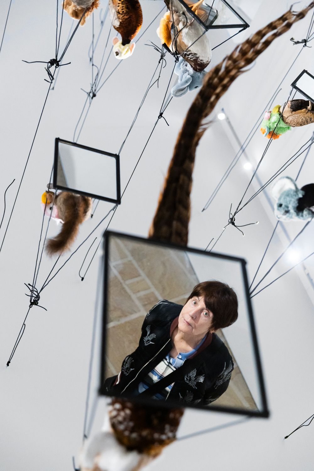 Dernier jour pour découvrir l'exposition "Animal!?" au Fonds Leclerc de Landerneau !