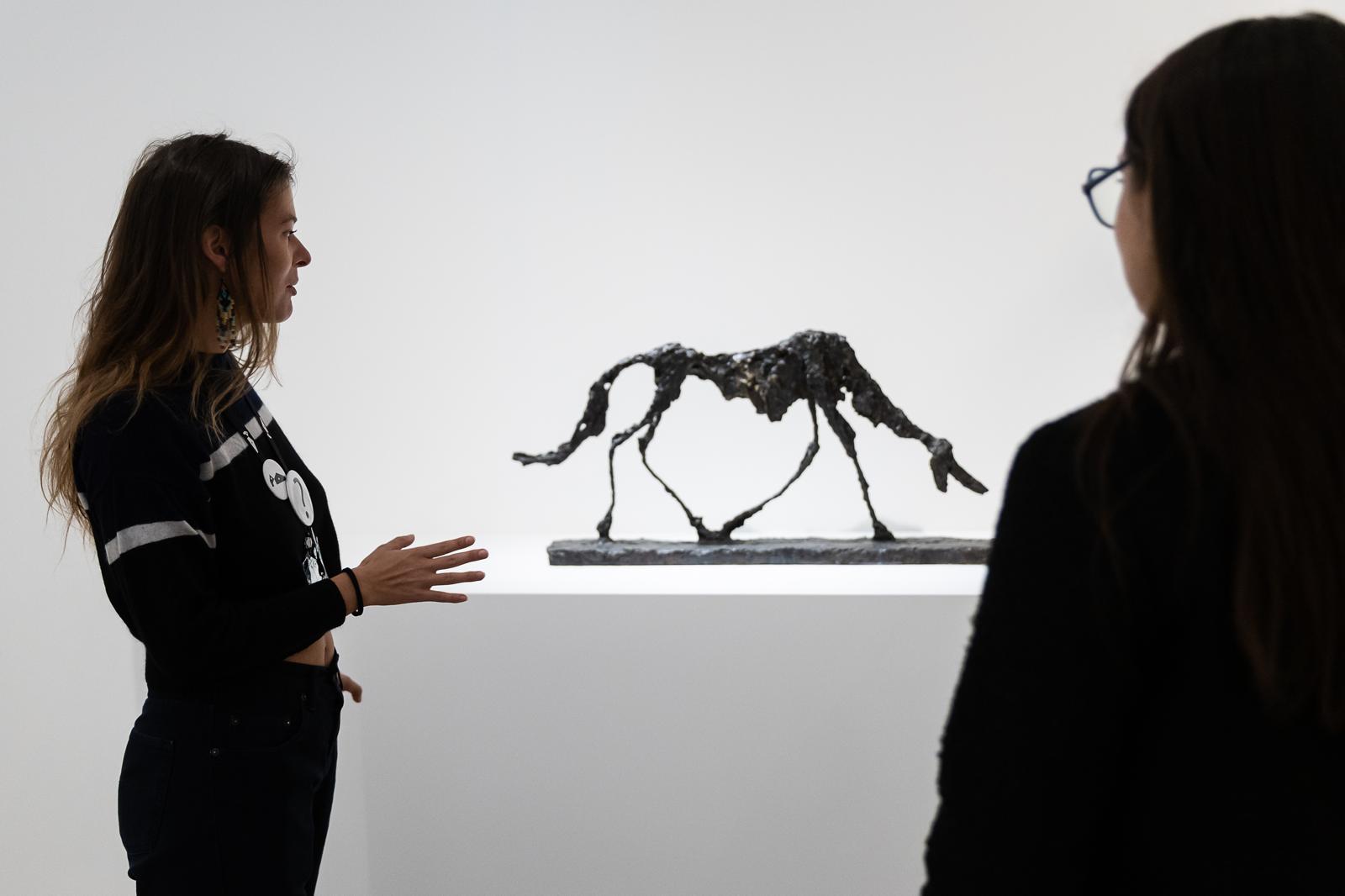 Fonds Culturel Leclerc : immense succès pour l'exposition "Animal!?" à Landerneau !