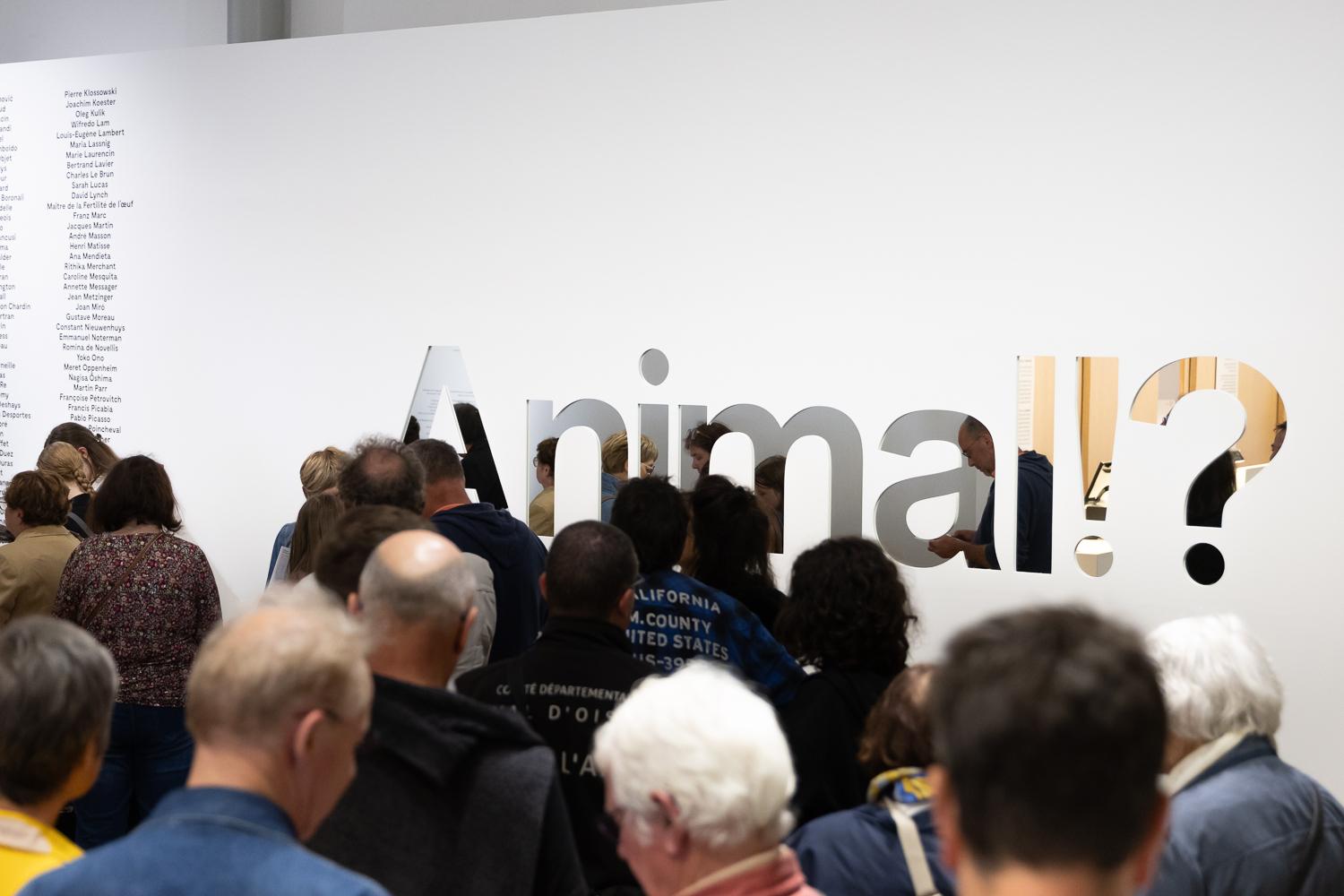 Fonds Culturel Leclerc : immense succès pour l'exposition "Animal!?" à Landerneau !