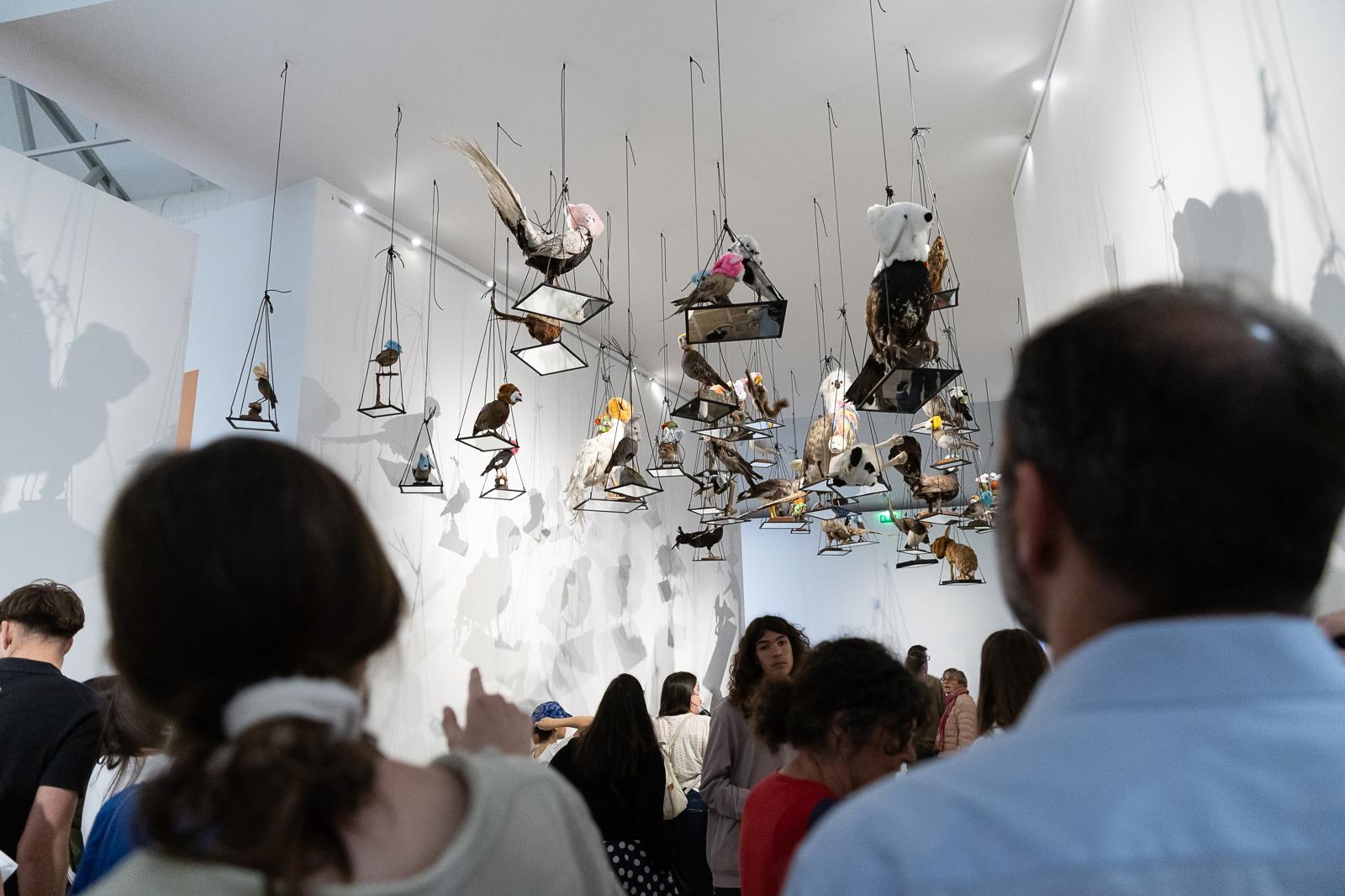 Fonds Culturel Leclerc : immense succès pour l'exposition "Animal!?" à Landerneau !Fonds Culturel Leclerc : immense succès pour l'exposition "Animal!?" à Landerneau !