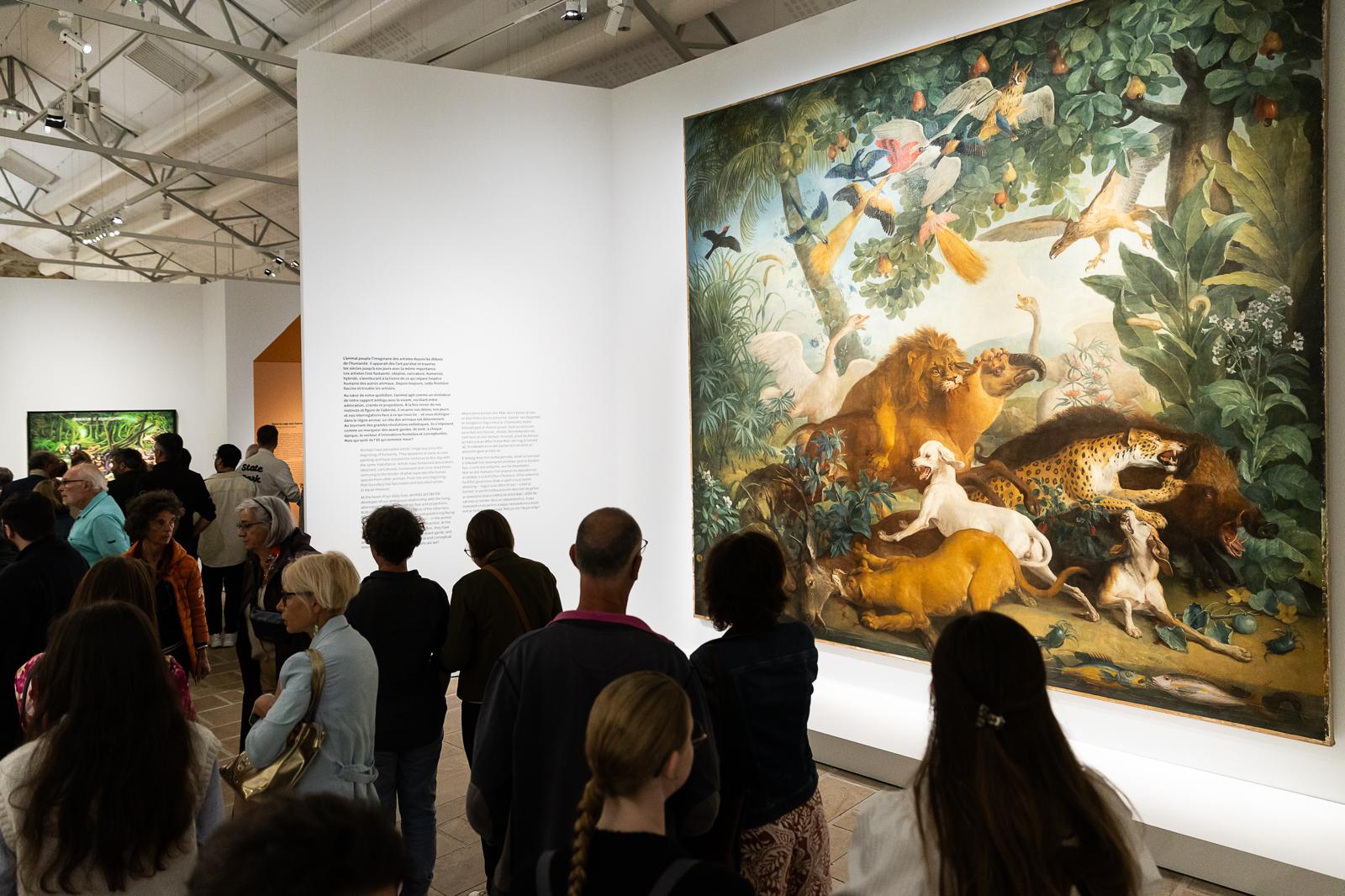 Fonds Culturel Leclerc : immense succès pour l'exposition "Animal!?" à Landerneau !