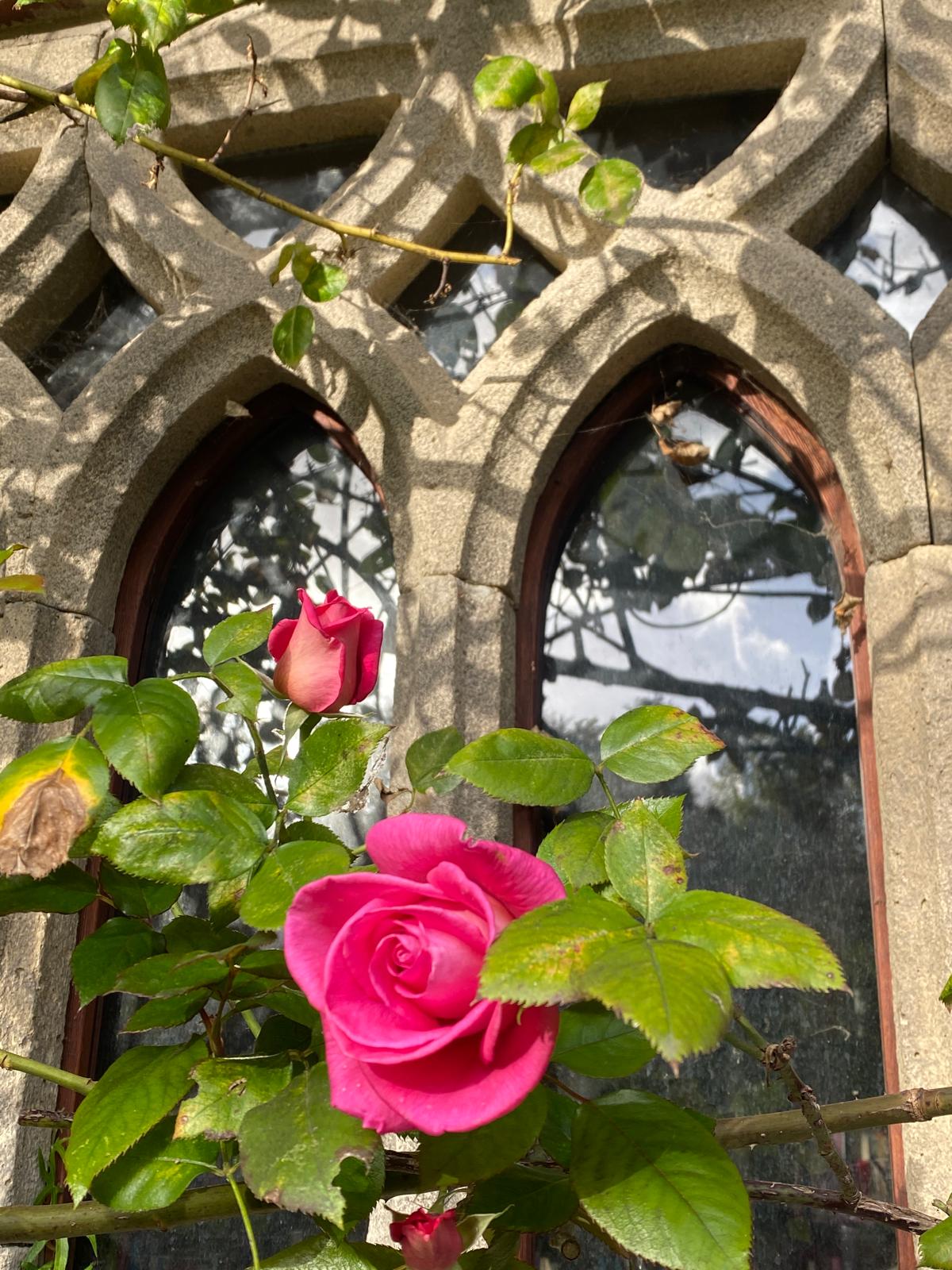 Visite du Moulin Jaune, une création artistique du clown Slava