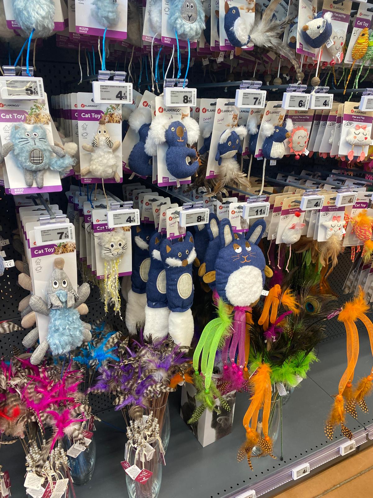 Nos Animaux E.Leclerc : visite de l'une des plus belles animaleries de France à Saint-Parres-aux-Tertres