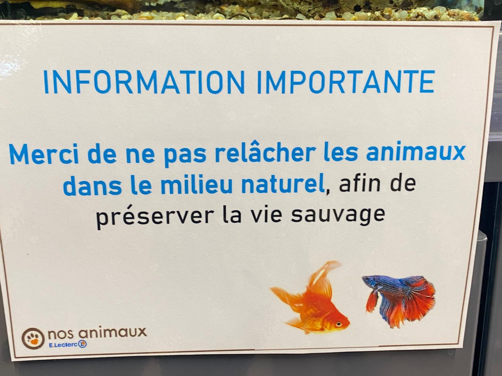 Nos Animaux E.Leclerc : visite de l'une des plus belles animaleries de France à Saint-Parres-aux-Tertres