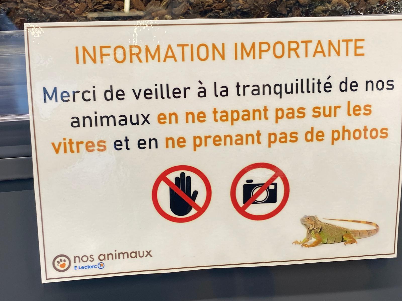 Nos Animaux E.Leclerc : visite de l'une des plus belles animaleries de France à Saint-Parres-aux-Tertres