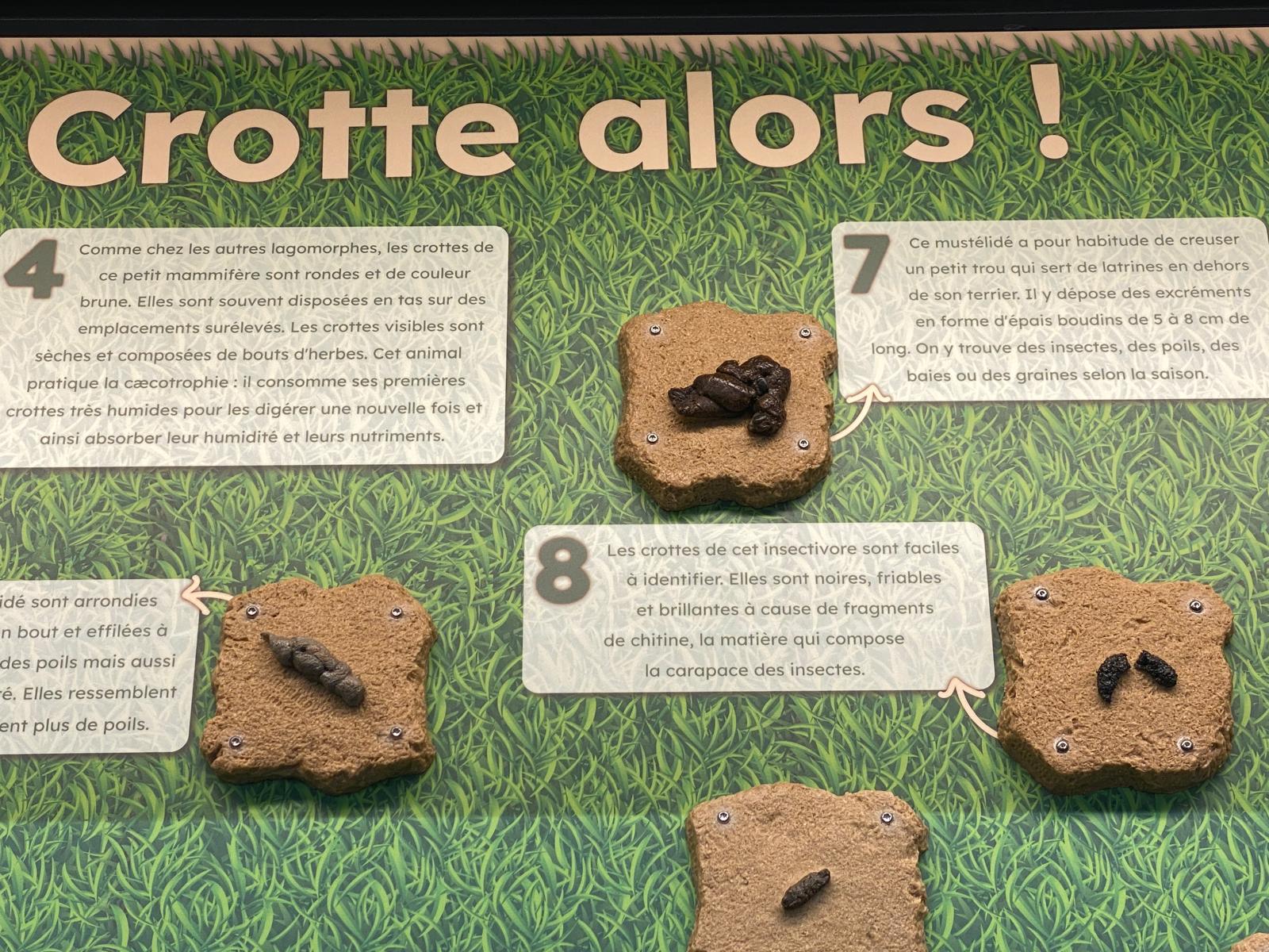 Nos Animaux E.Leclerc : visite de l'une des plus belles animaleries de France à Saint-Parres-aux-Tertres