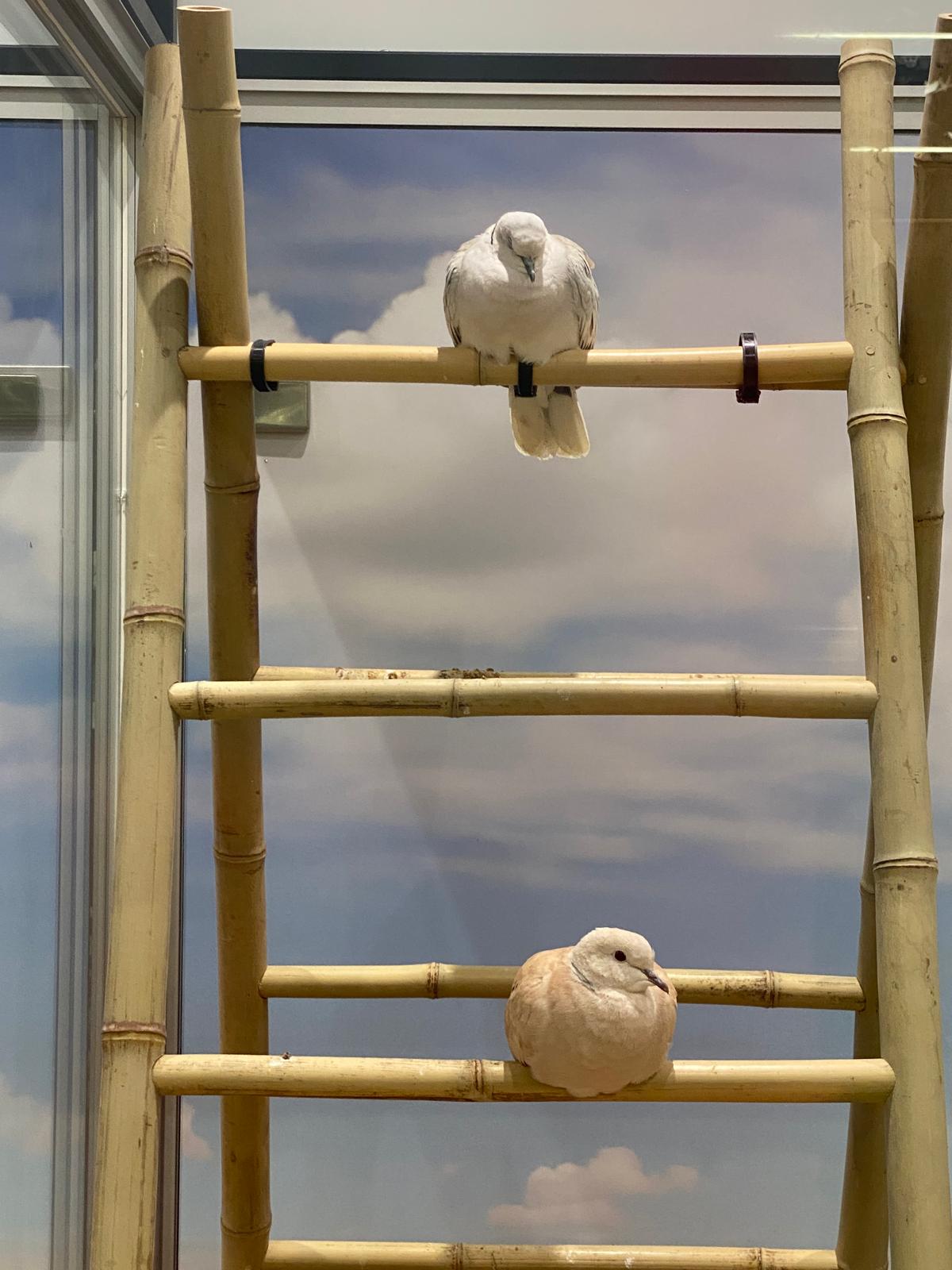 Nos Animaux E.Leclerc : visite de l'une des plus belles animaleries de France à Saint-Parres-aux-Tertres