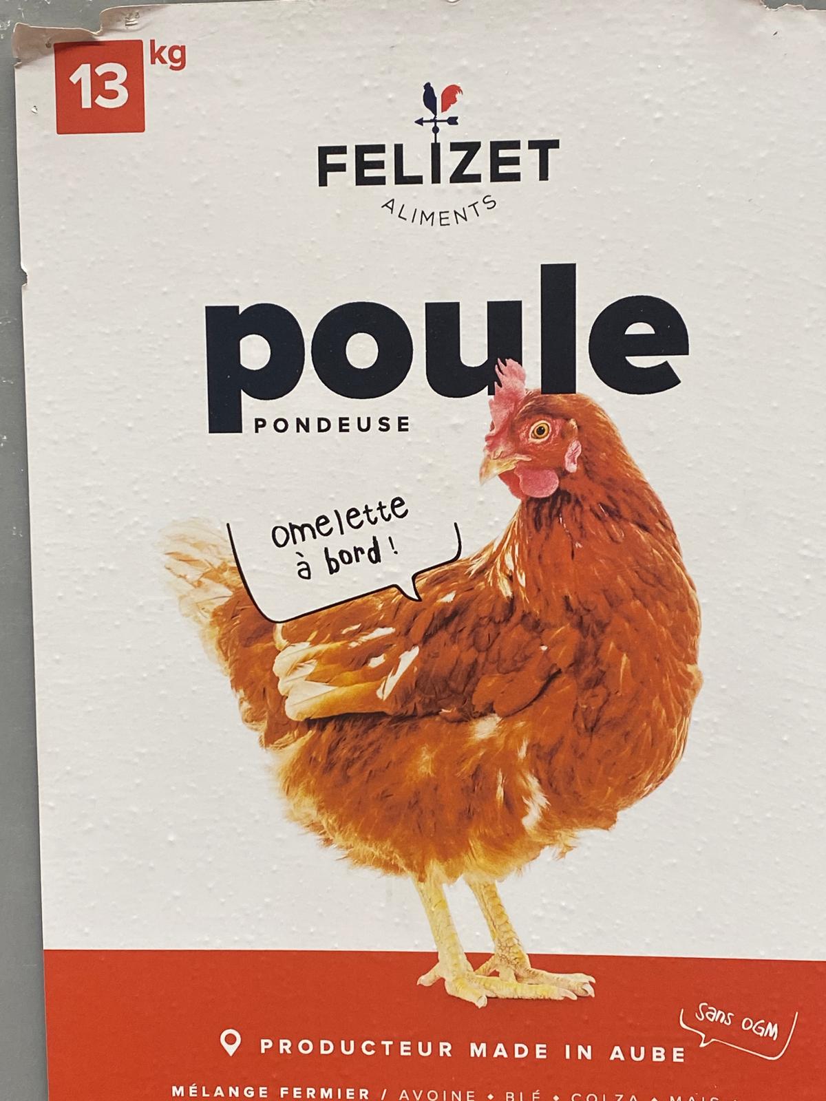 Nos Animaux E.Leclerc : visite de l'une des plus belles animaleries de France à Saint-Parres-aux-Tertres