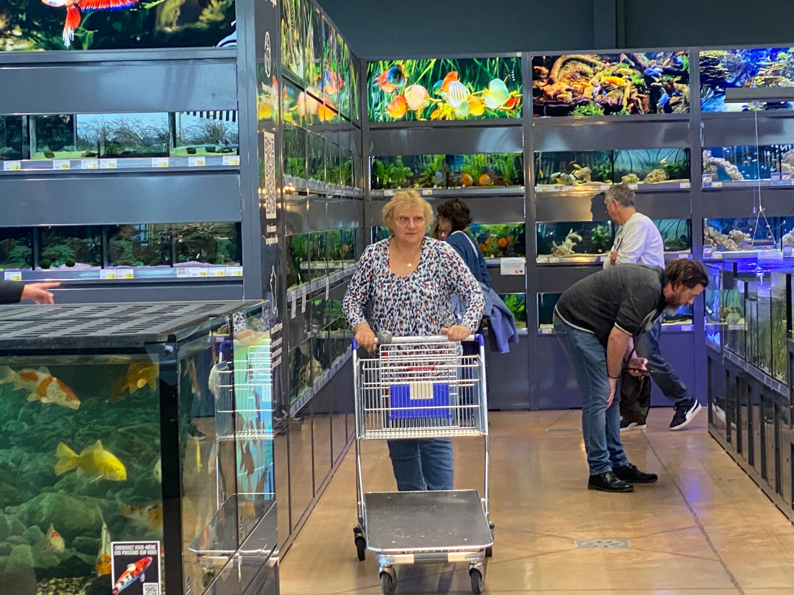 Nos Animaux E.Leclerc : visite de l'une des plus belles animaleries de France à Saint-Parres-aux-Tertres