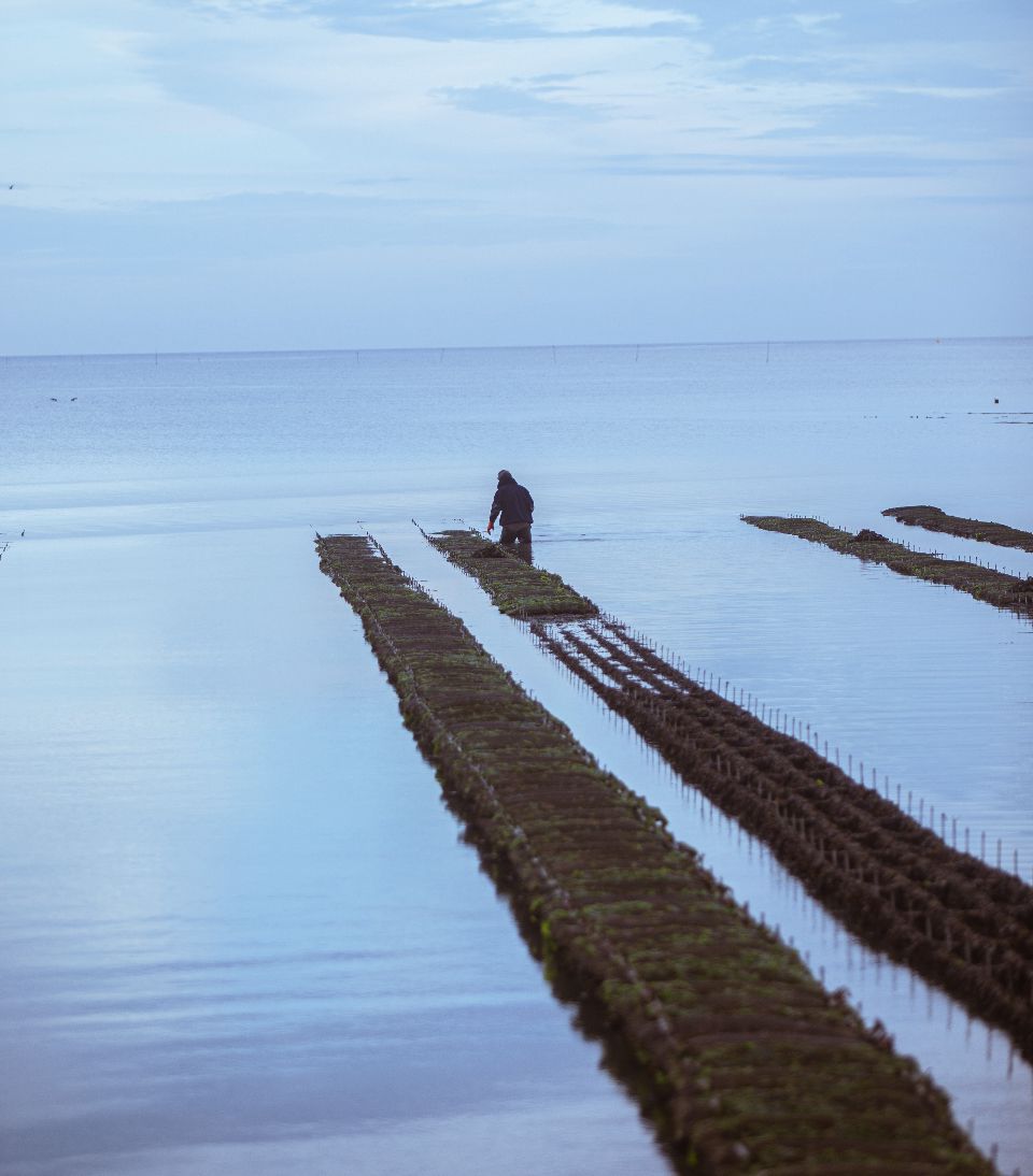 Dans les coulisses de la Scapmarée !