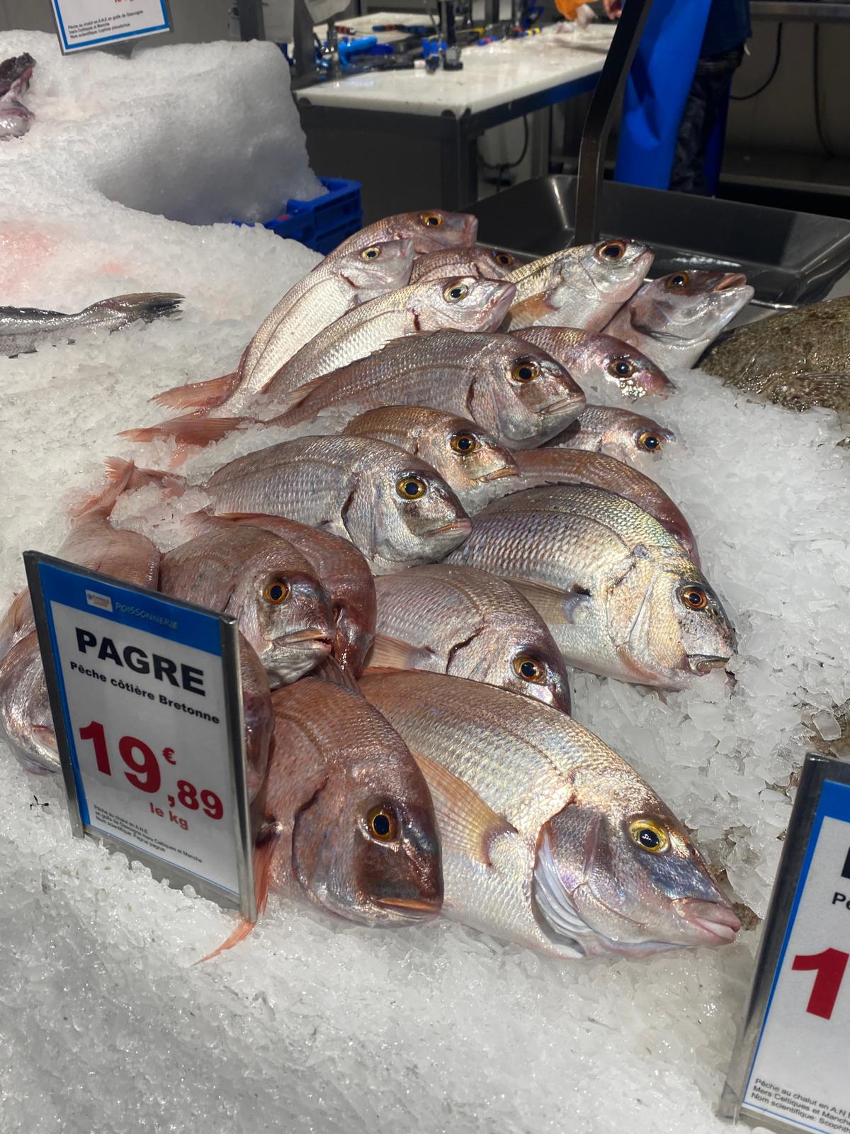 Dans les coulisses de la Scapmarée !