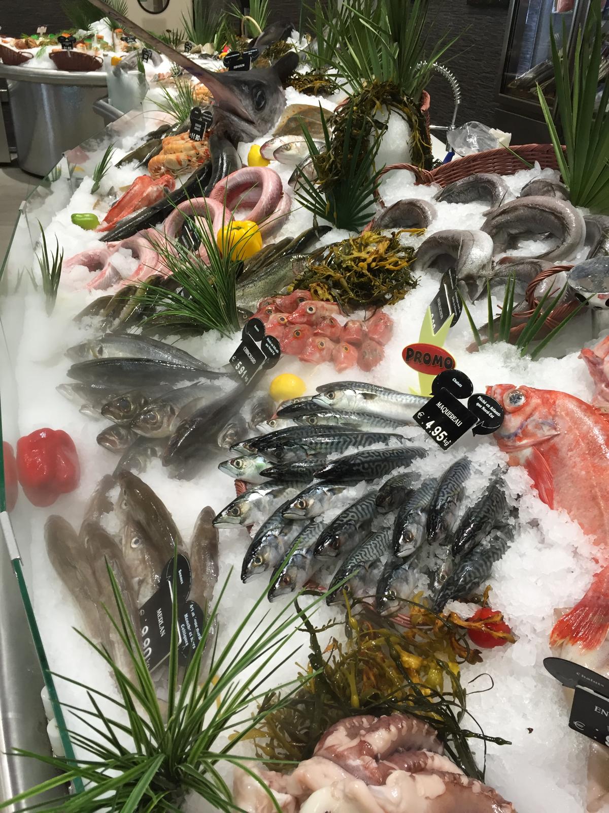 Dans les coulisses de la Scapmarée !