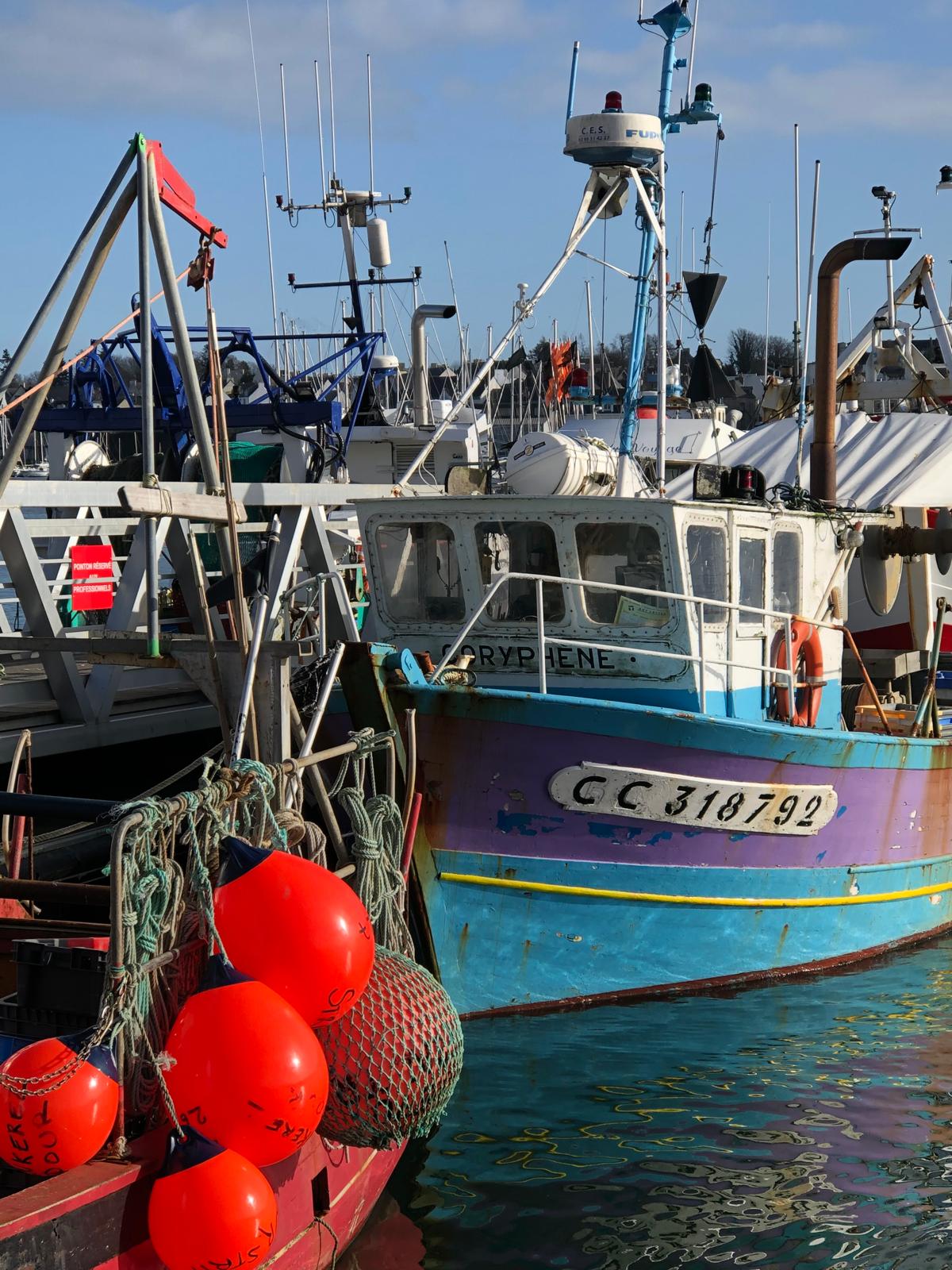 Dans les coulisses de la Scapmarée !