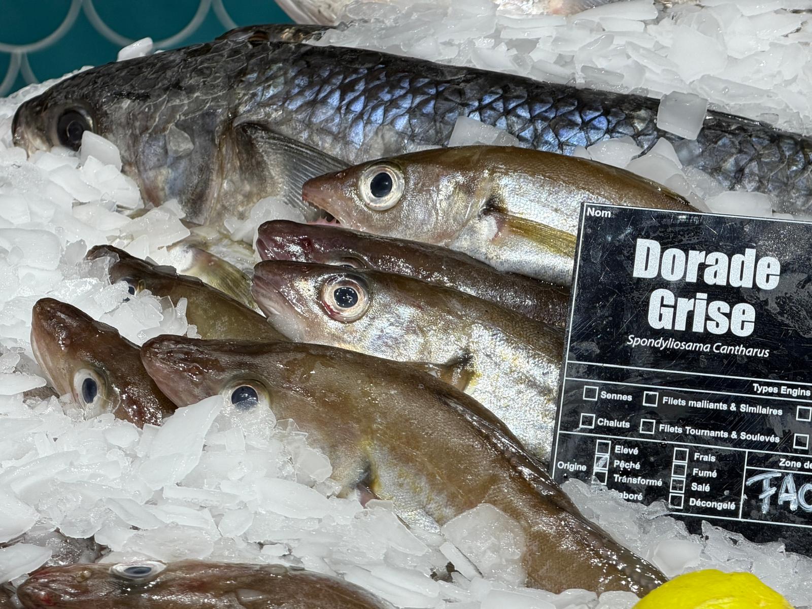 Visite du magnifique centre E.Leclerc de Saint-Brice-Courcelles (Reims)