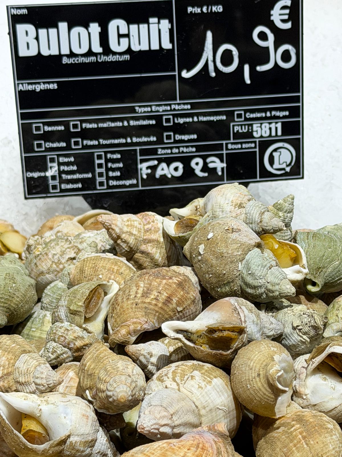 Visite du magnifique centre E.Leclerc de Saint-Brice-Courcelles (Reims)