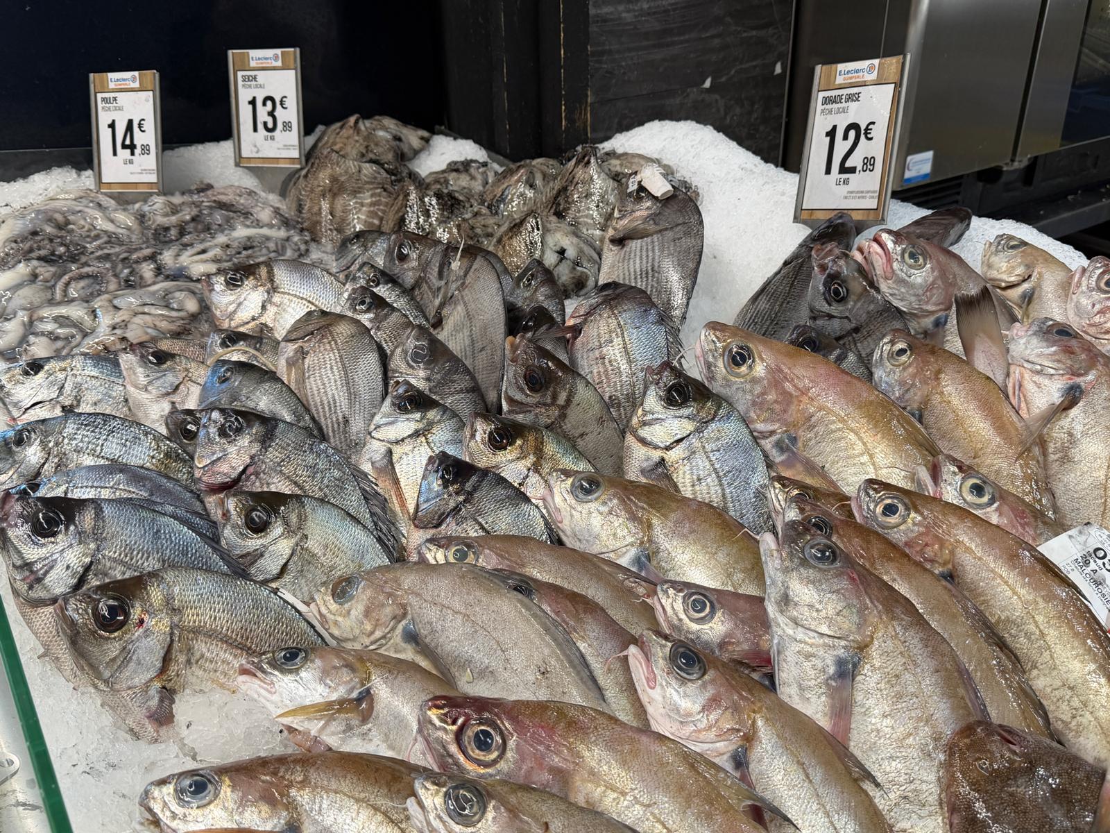E.Leclerc Quimperlé : découvrez ce superbe centre E.Leclerc avec des prix parmi les plus bas de France !
