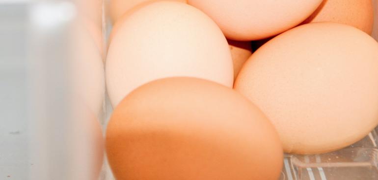 Précisions suite à la crise des œufs contaminés au Fipronil