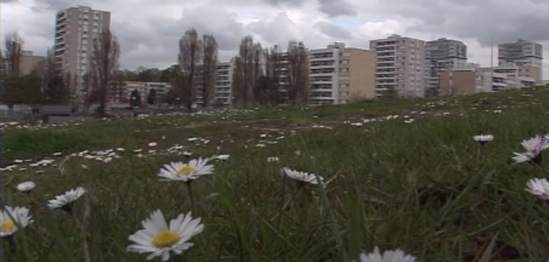 Macron Banlieues