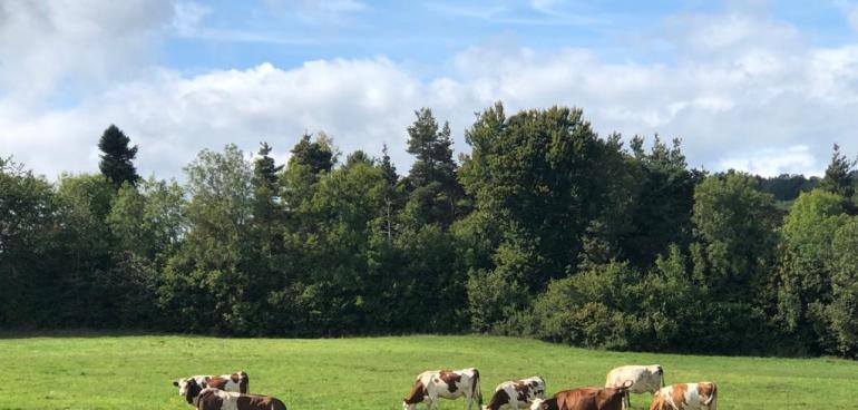 Circuits courts exemple