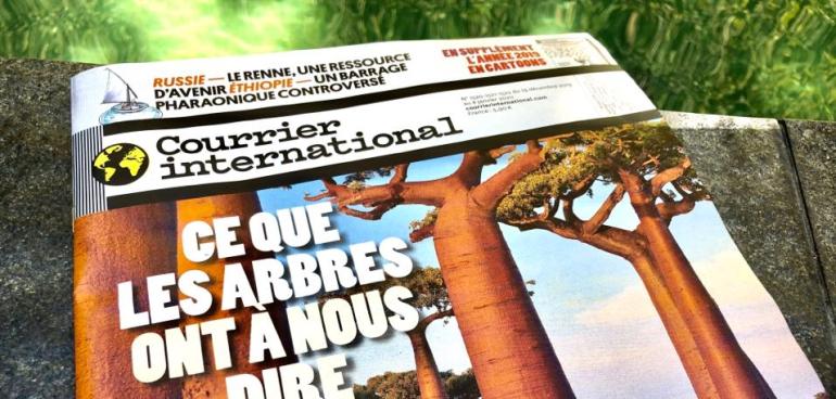 Réchauffement climatique déforestation