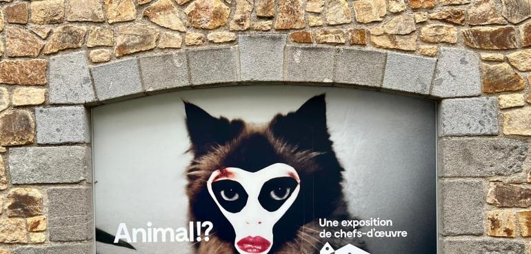 "Animal !?" : l'exposition à ne pas rater cet été en Bretagne, à Landerneau ! 