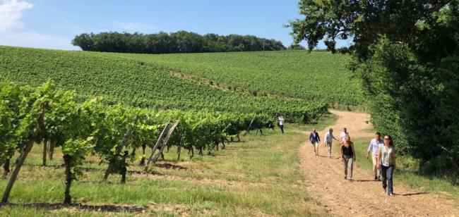 L'objectif de ces vignerons ? zéro engrais chimiques ! 