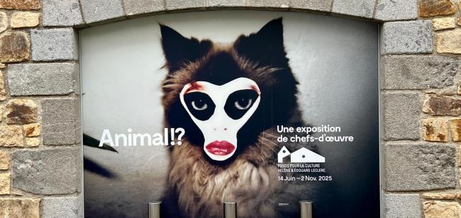 "Animal !?" : l'exposition à ne pas rater cet été en Bretagne, à Landerneau ! 