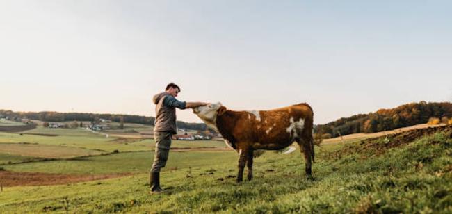 Traité Mercosur : E.Leclerc soutient les producteurs français
